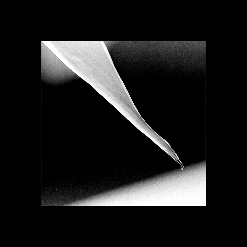 Z_001.jpg